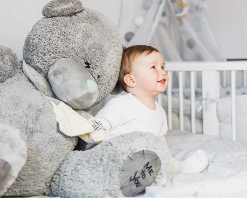 infant bouncer rocker