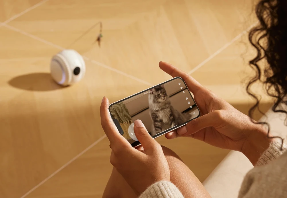 best at home pet camera