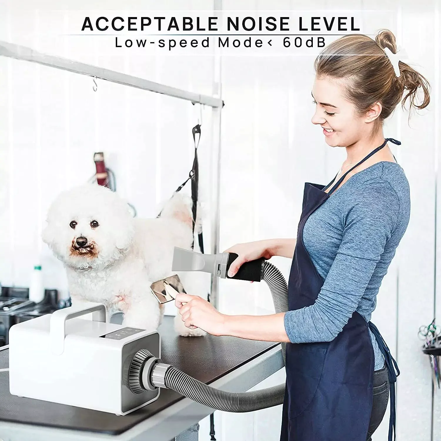 Lonic High Velocity Pet Hair Dryer